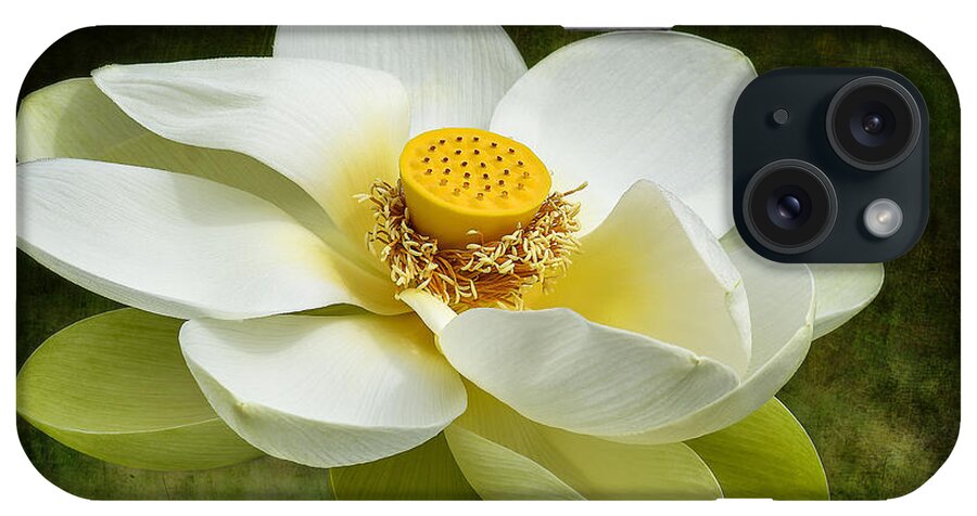 Lotus iPhone Case featuring the photograph Lotus Flower by Teresa Zieba