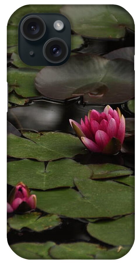Lotus iPhone Case featuring the photograph Lotus II by Stevyn Llewellyn