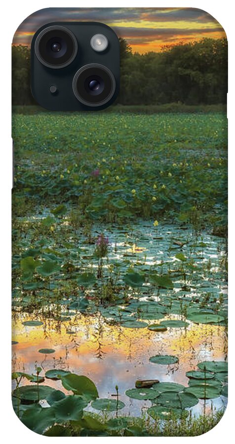 Concord iPhone Case featuring the photograph Lotus Sunset Water by Sylvia J Zarco