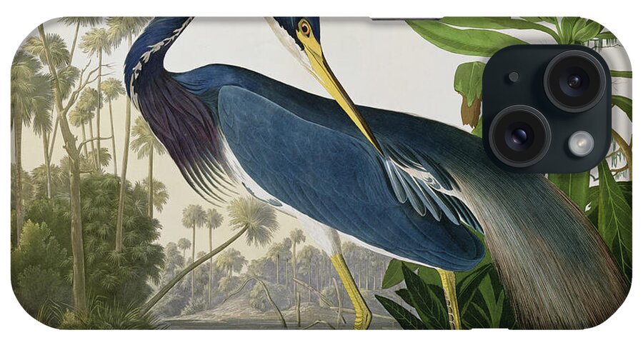 #faatoppicks iPhone Case featuring the painting Louisiana Heron by John James Audubon