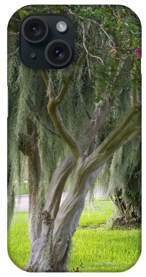 Photograph iPhone Case featuring the photograph Louisiana Moodiness by Rhonda McDougall