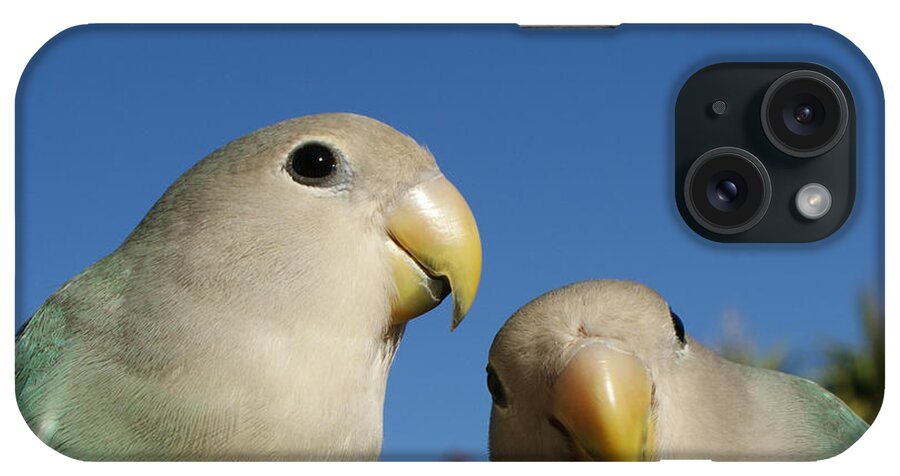 Birds iPhone Case featuring the photograph Love Birds 2 by Ernest Echols