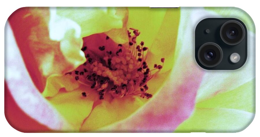 Love iPhone Case featuring the photograph Love by Daniele Smith