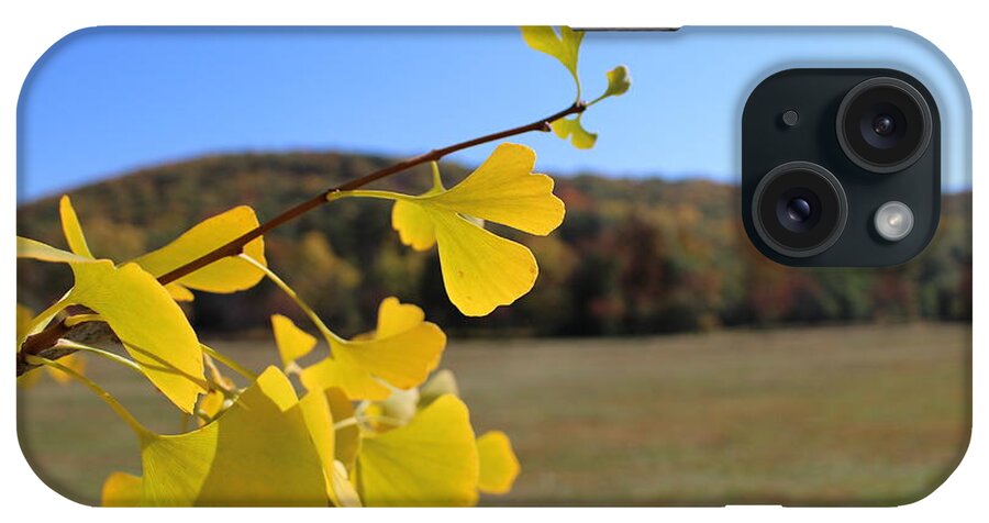 Leaf iPhone Case featuring the photograph Love Is In The Air by Jason Nicholas