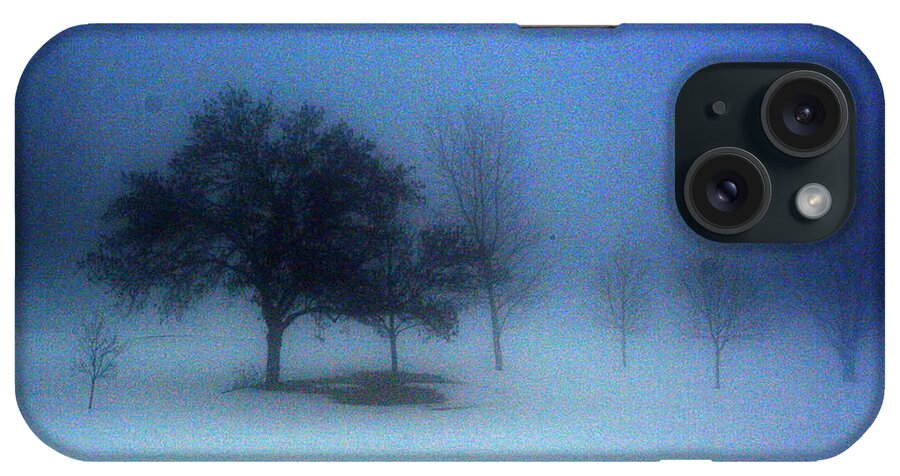 Landscape iPhone Case featuring the photograph Love me in the mist by Julie Lueders 