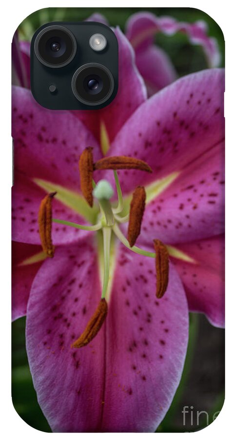 Lily iPhone Case featuring the photograph Lovely Lily by Roberta Byram
