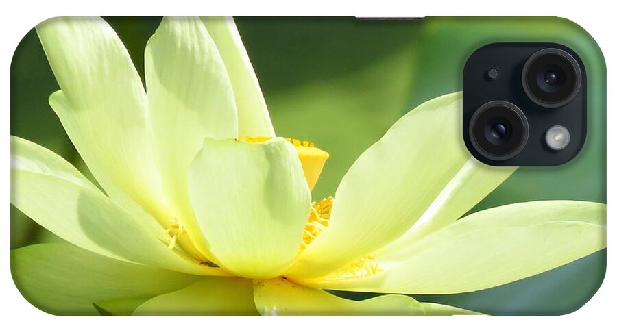 Lotus iPhone Case featuring the photograph Lovely Lotus by Lori Frisch