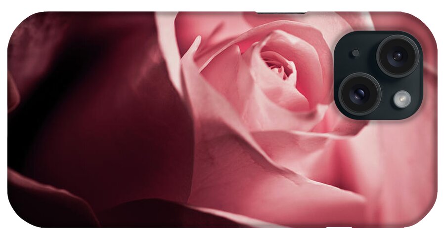 White Rose iPhone Case featuring the photograph Lovely pink rose by Micah May
