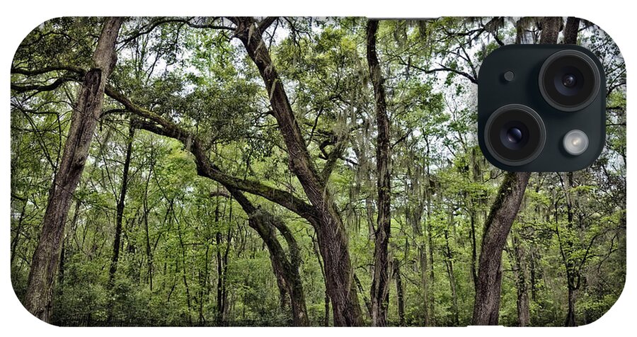 Oak Trees iPhone Case featuring the photograph Low Country Oaks by Diana Powell