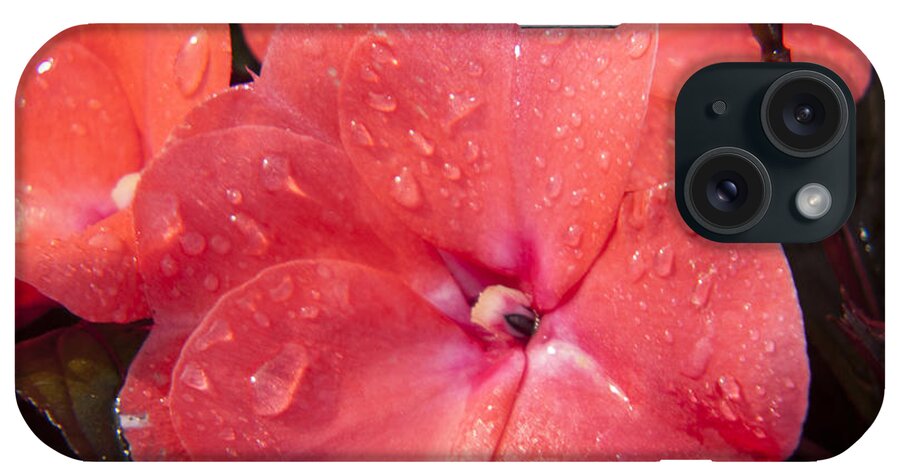 Lucky iPhone Case featuring the photograph Lucky Friend by Janis Kirstein