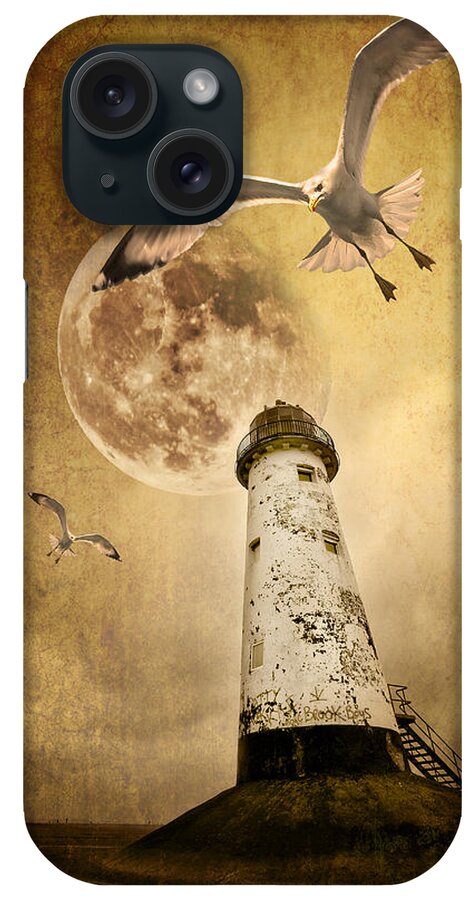Seagull iPhone Case featuring the photograph Lunar Flight by Meirion Matthias