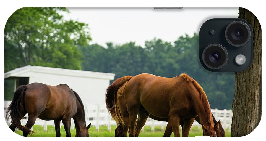 Horses iPhone Case featuring the photograph Lunch Time by Walt Baker