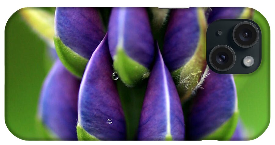 Lupine iPhone Case featuring the photograph Lupine 2 by A K Dayton