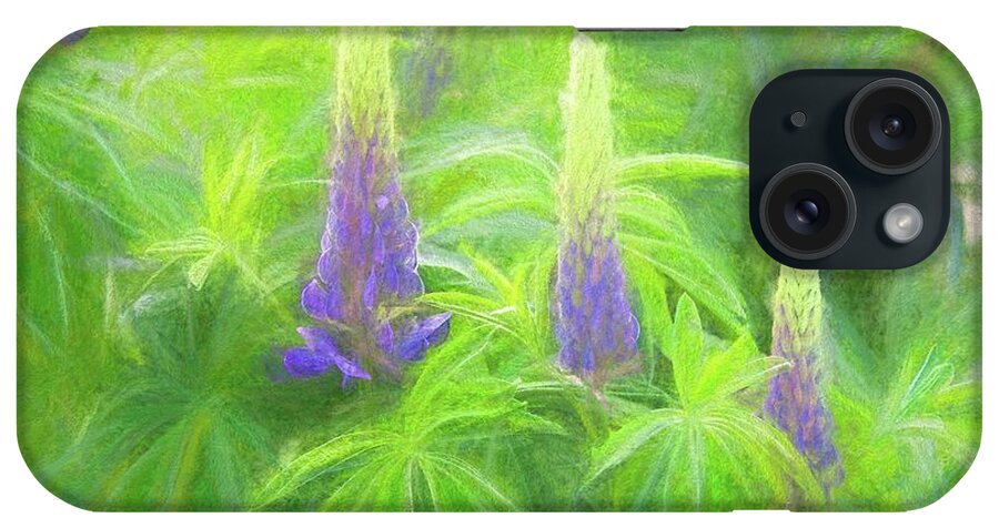 Flora iPhone Case featuring the photograph Lupine Light by Kathy Bassett