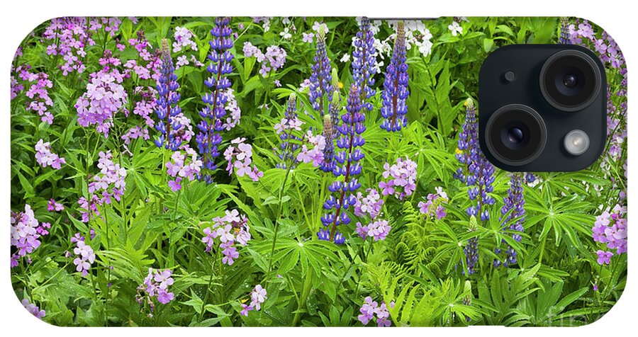 Spring iPhone Case featuring the photograph Lupines And Dames Rocket by Alan L Graham