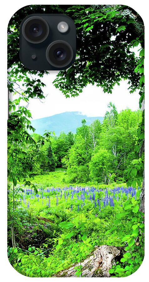 Franconia Notch iPhone Case featuring the photograph Lupines Secret by Greg Fortier