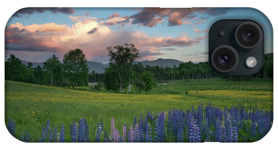 #lupines#moon#landscape#newhampshire#mountains#sunset#spring#flowers#sugarhill iPhone Case featuring the photograph Lupines Under the Moon by Darylann Leonard Photography