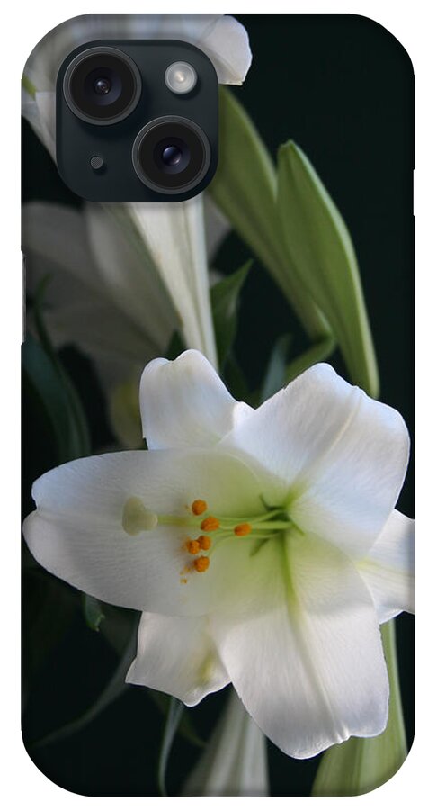 Lily iPhone Case featuring the photograph Lustrous Lilies by Mary Gaines