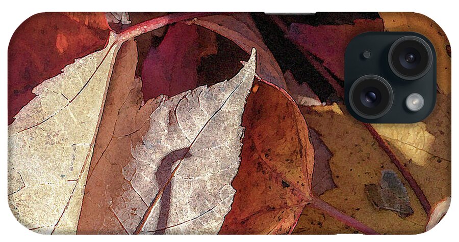 Autumn iPhone Case featuring the photograph Lying Around - by Julie Weber