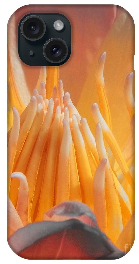 Water Lily iPhone Case featuring the photograph Macro Water Lily by Chad and Stacey Hall