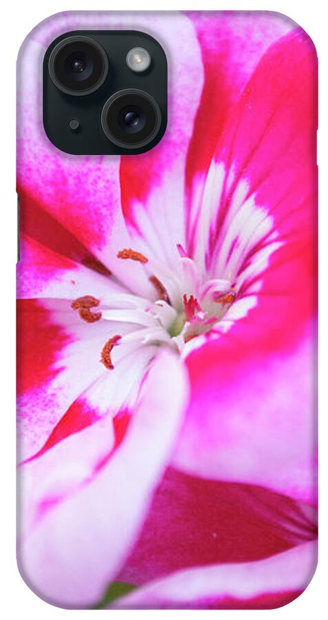 Flowers iPhone Case featuring the photograph Magenta Painted Blooms by Lisa Blake