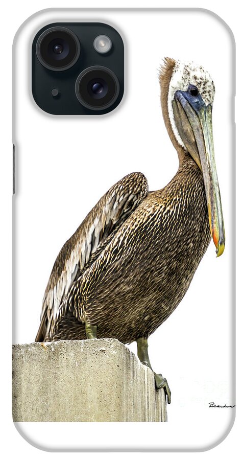 Bird iPhone Case featuring the photograph Majestic Gulf Shores Pelican 1071A by Ricardos Creations