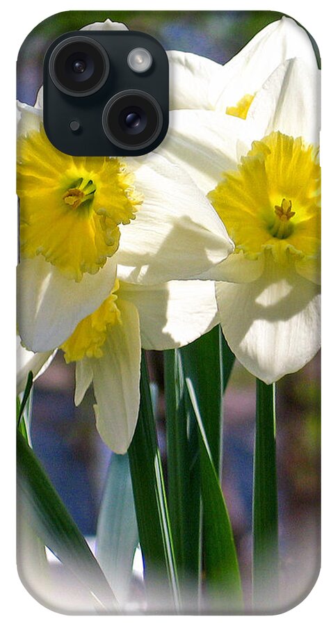 Photographic Art iPhone Case featuring the photograph Magic Daffodils by Rick Locke - Out of the Corner of My Eye