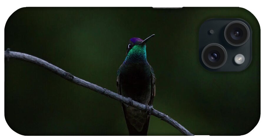 Magnificent Hummingbird iPhone Case featuring the photograph Magnificent is my name by Ruth Jolly
