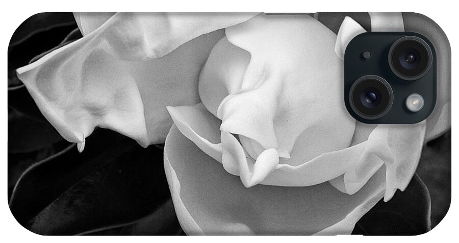 Magnolia iPhone Case featuring the photograph Magnolia bloom by Patti Schulze