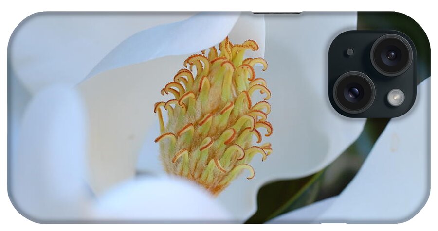 Flower iPhone Case featuring the photograph Magnolia Blossom 2 by Amy Fose