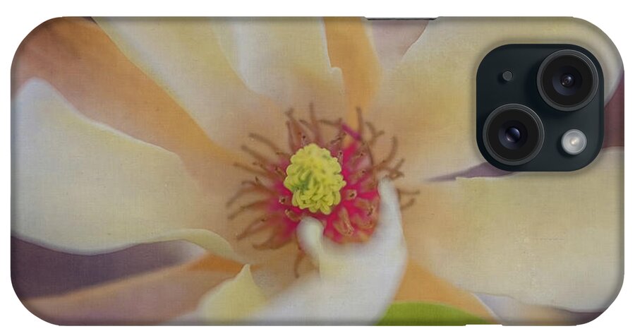 Brattleboro Vermont Spring iPhone Case featuring the photograph Magnolia Blossom by Tom Singleton