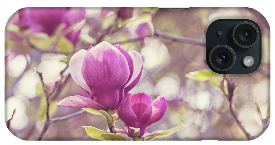 Magnolia iPhone Case featuring the photograph Magnolia by Melanie Alexandra Price