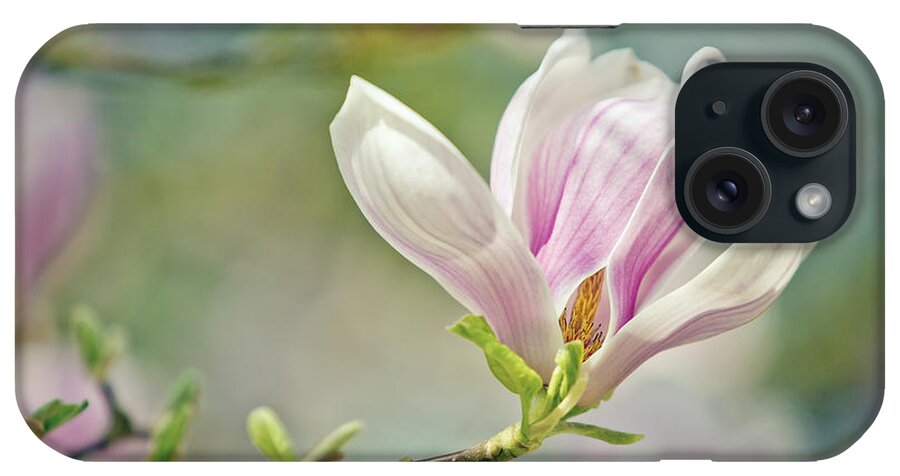 Magnolia iPhone Case featuring the photograph Magnolia by Nailia Schwarz