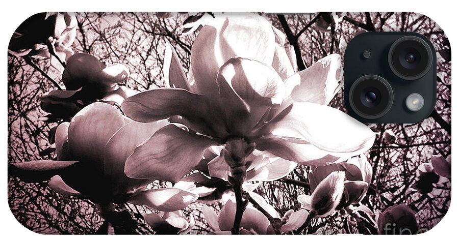 Magnolia iPhone Case featuring the photograph Magnolia Pink by Karen Lewis