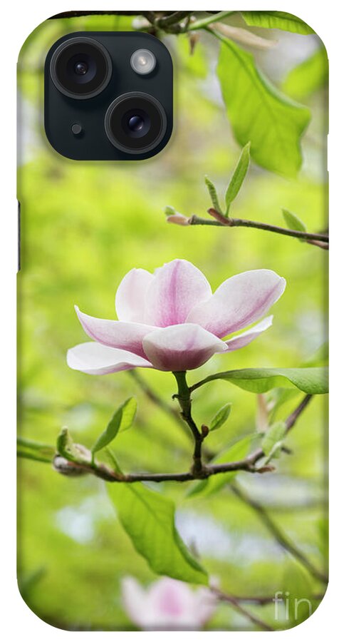Magnolia Purple Platter iPhone Case featuring the photograph Magnolia Purple Platter Flower by Tim Gainey
