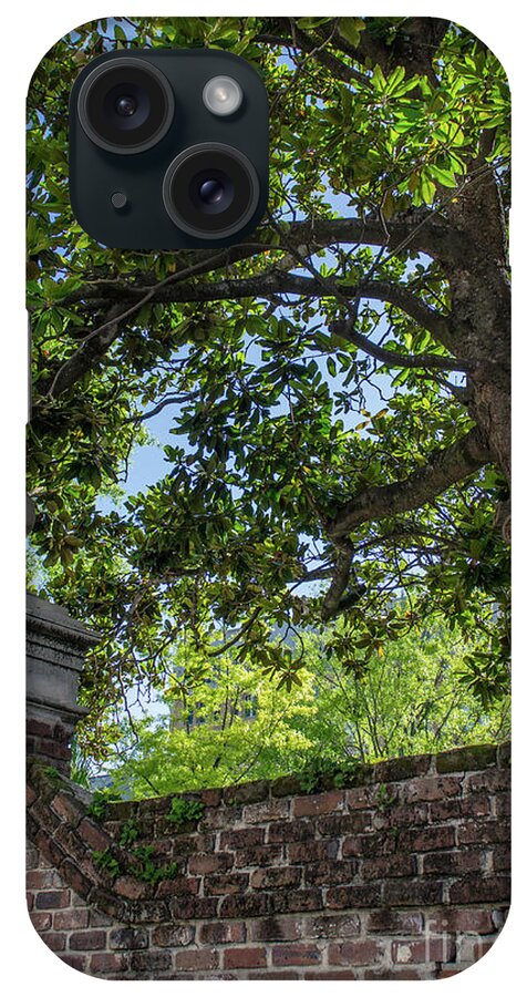 Magnolia Tree iPhone Case featuring the photograph Magnolia Tree and Charleston Brick by Dale Powell