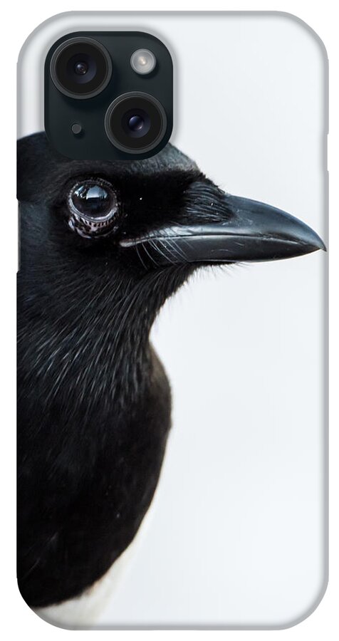 Pica Pica iPhone Case featuring the photograph Magpie portrait by Torbjorn Swenelius