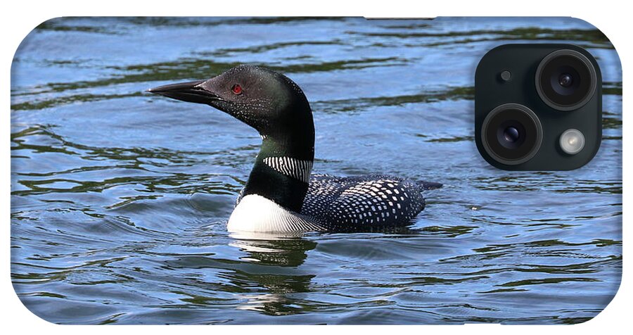 Common Loon iPhone Case featuring the photograph Maine Common Loon - Woodbury Pond by Sandra Huston