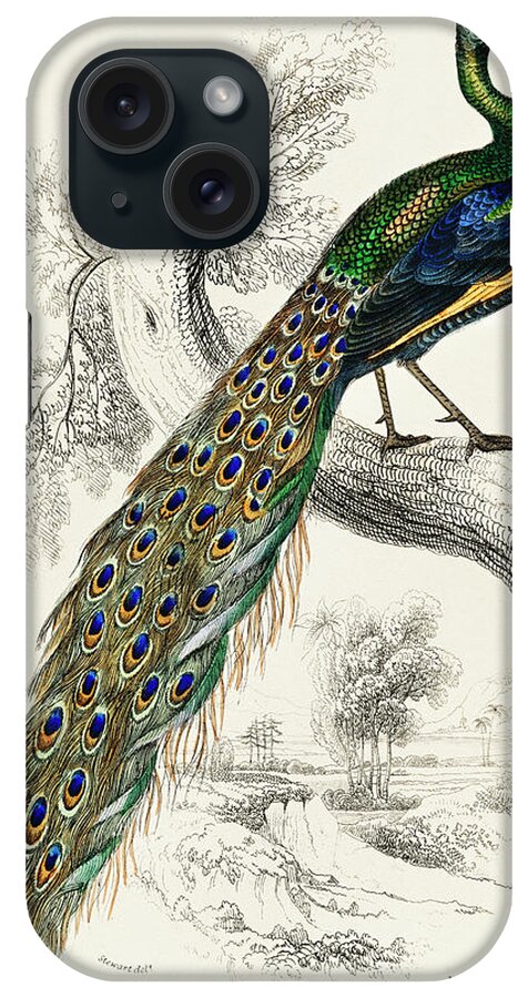 1836 iPhone Case featuring the painting Majestic male peafowl portrait by Vincent Monozlay