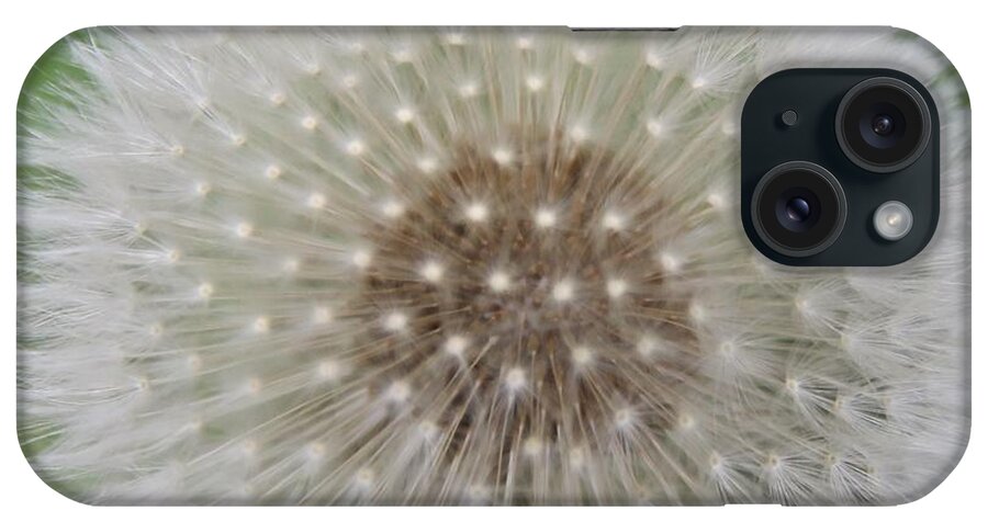 Flower iPhone Case featuring the photograph Make A Wish by DJ Florek