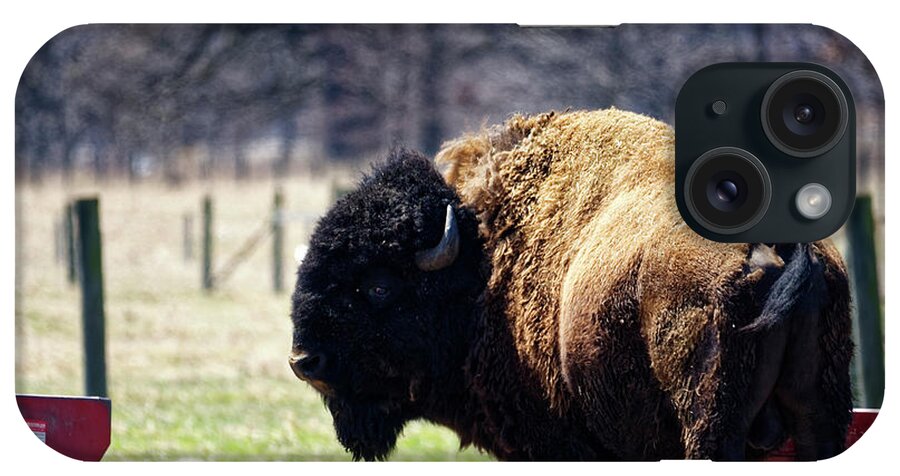 Bison iPhone Case featuring the photograph Male Bison by Peter Ponzio
