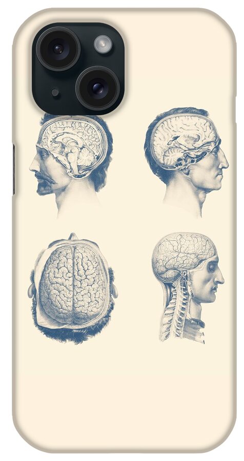 Spinal Cord iPhone Case featuring the mixed media Male Brain Anatomy - Multi-View by Vintage Anatomy Prints