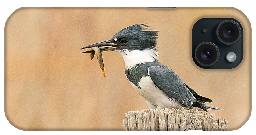 Bird iPhone Case featuring the photograph Male Kingfisher with Fresh Water Eel by Dennis Hammer
