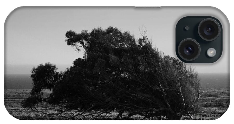 Blackandwhite iPhone Case featuring the photograph Malformed Treeline by Clayton Bruster
