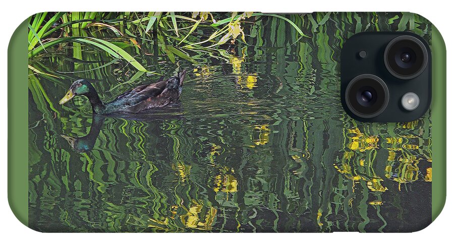 Mallard iPhone Case featuring the photograph Mallard in the Marsh by Suzy Piatt