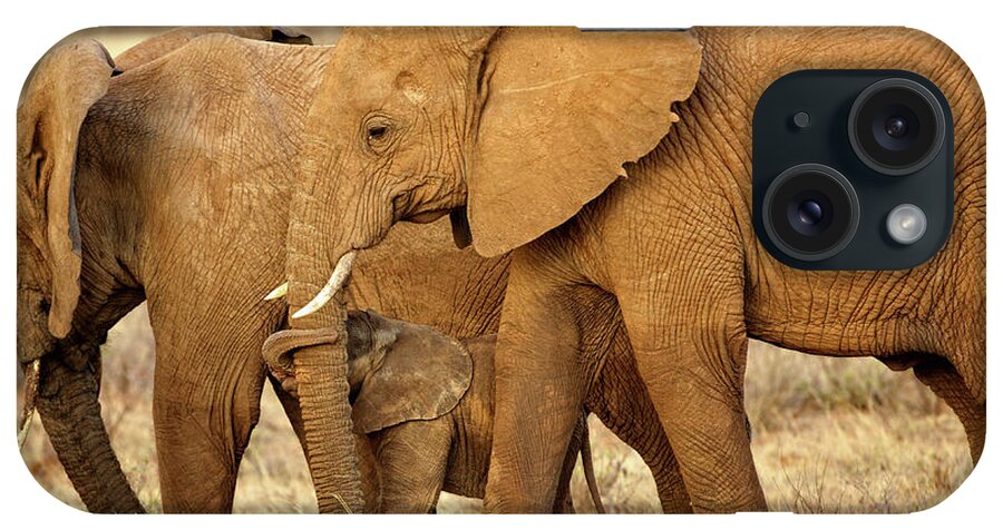 Elephants iPhone Case featuring the photograph Mama Knows Best by Steven Upton