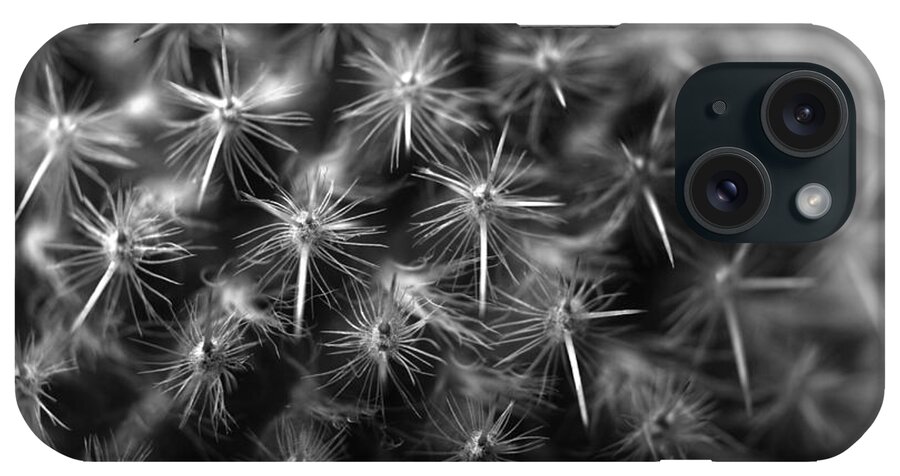 Cactus iPhone Case featuring the photograph Mammillaria by Nathan Abbott