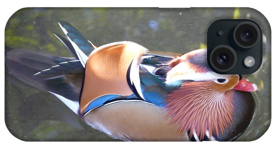 Bird iPhone Case featuring the photograph Mandarin Duck by Valerie Ornstein