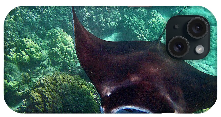 Manta Ray iPhone Case featuring the photograph Mantas in Flight by Bette Phelan