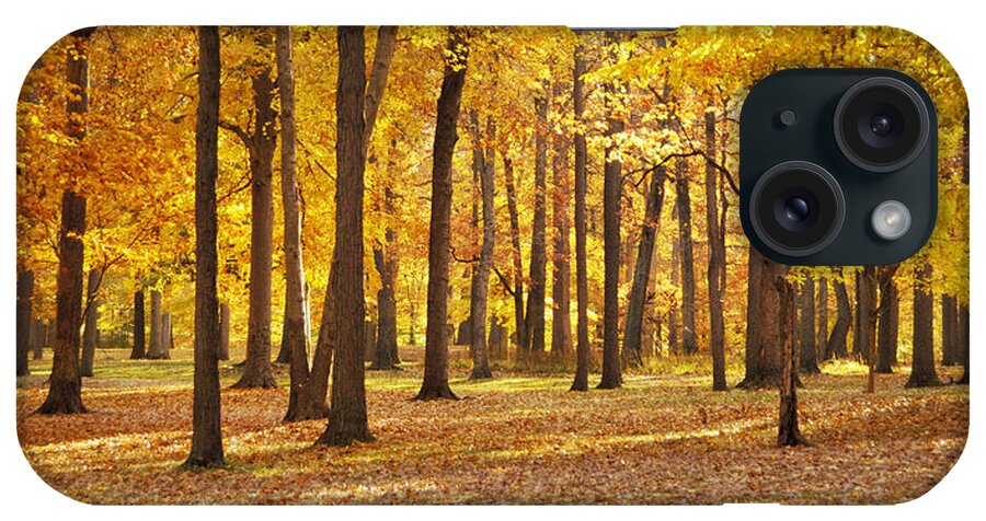 Maple iPhone Case featuring the photograph Maple Glory by Frances Miller